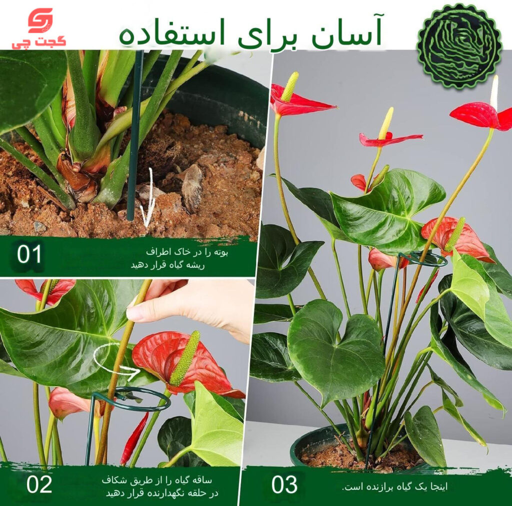 پایه نگهدارنده گل