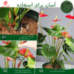 پایه نگهدارنده گل