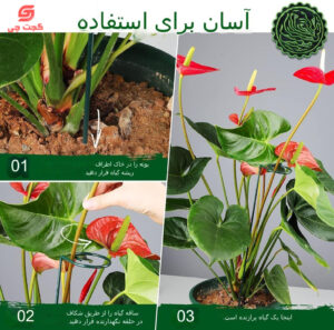 پایه نگهدارنده گل